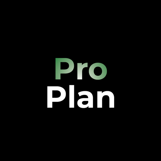 Tier 2: Pro Plan